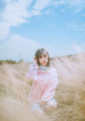 去有风的地方免费观看西瓜影视_1080全集免费播放